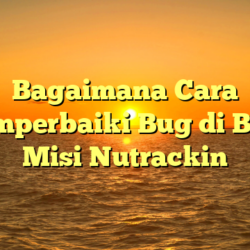 Bagaimana Cara Memperbaiki Bug di Bully Misi Nutrackin