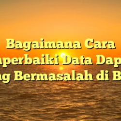 Bagaimana Cara Memperbaiki Data Dapodik yang Bermasalah di BKN