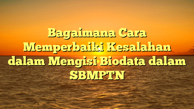 Bagaimana Cara Memperbaiki Kesalahan dalam Mengisi Biodata dalam SBMPTN