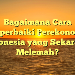 Bagaimana Cara Memperbaiki Perekonomian Indonesia yang Sekarang Melemah?