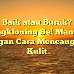 Baik atau Buruk? Mengkloning Sel Manusia dengan Cara Mencangkok Kulit